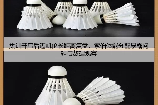 ji-xun-kai-qi-hou-mai-kai-lun-zhang-ju-li-fu-pan-suo-bo-ti-neng-fen-pei-bao-lu-wen-ti-yu-shu-ju-guan-cha-2-521.jpg